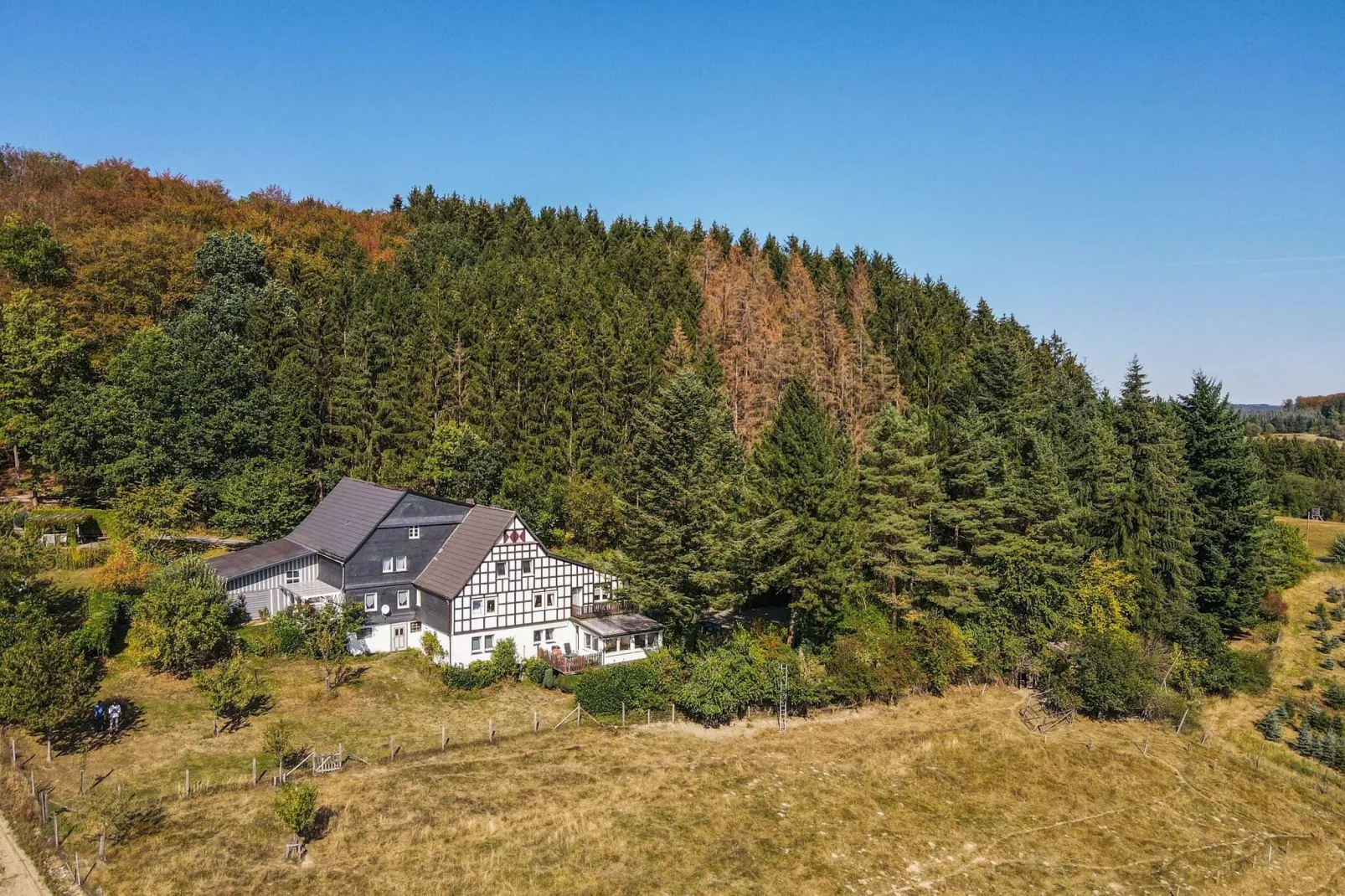 Hardebusch-Areas summer 1km