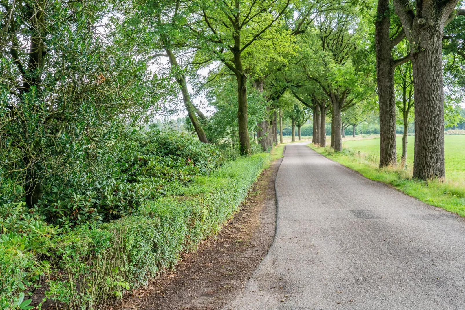 Landgoed de Gun-Gebiete Sommer 1 km
