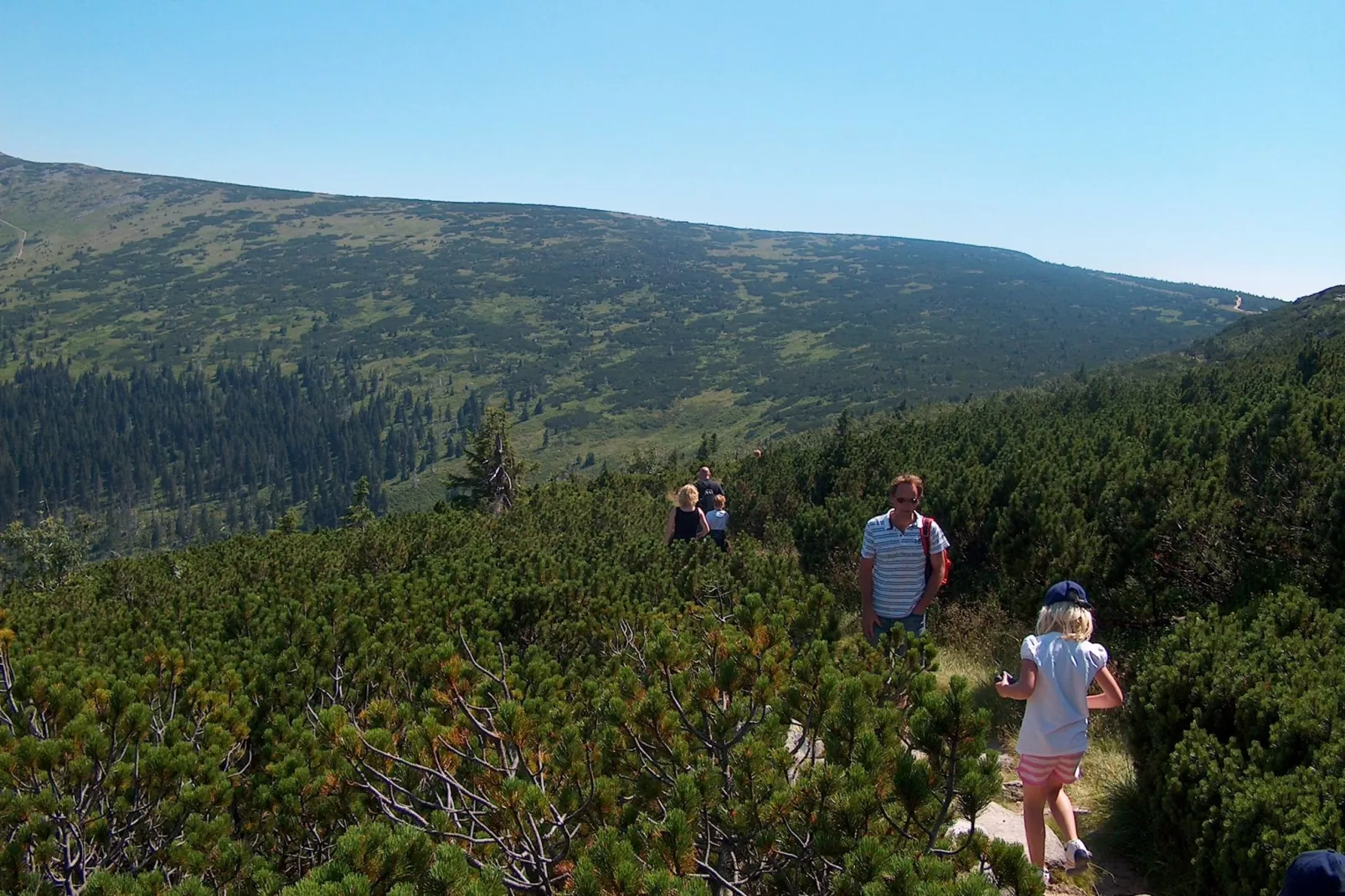 Przesieka-Areas summer 20km