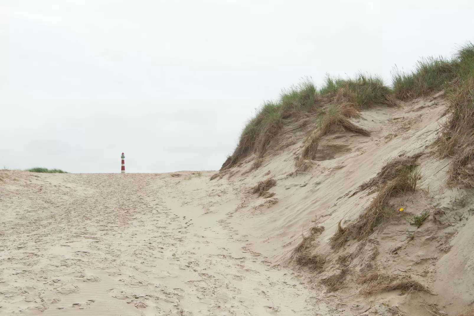 Sea Lodges Ameland 2-Gebiete Sommer 1 km