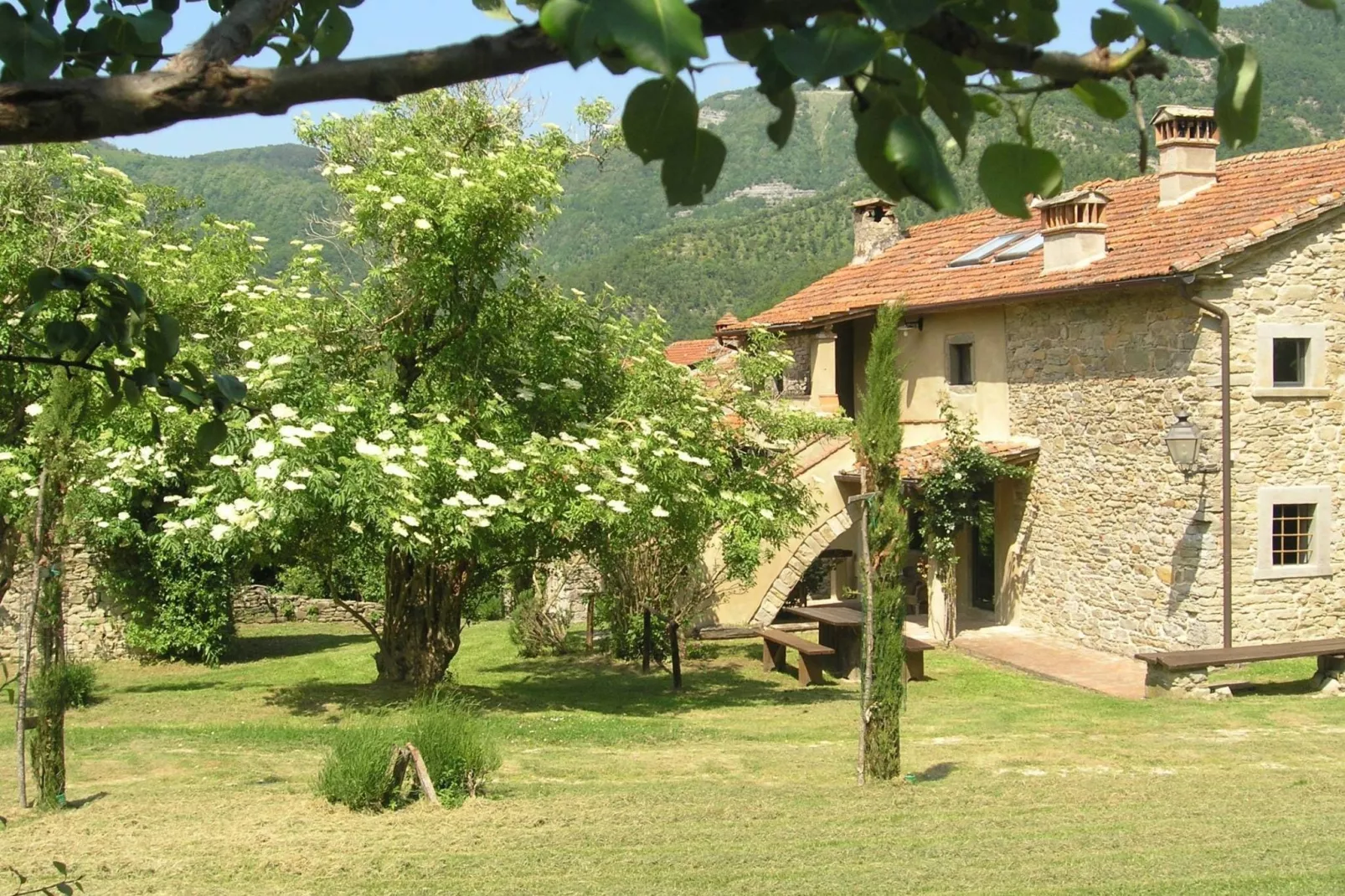 San Godenzo Casa Grande 2-Gardens summer