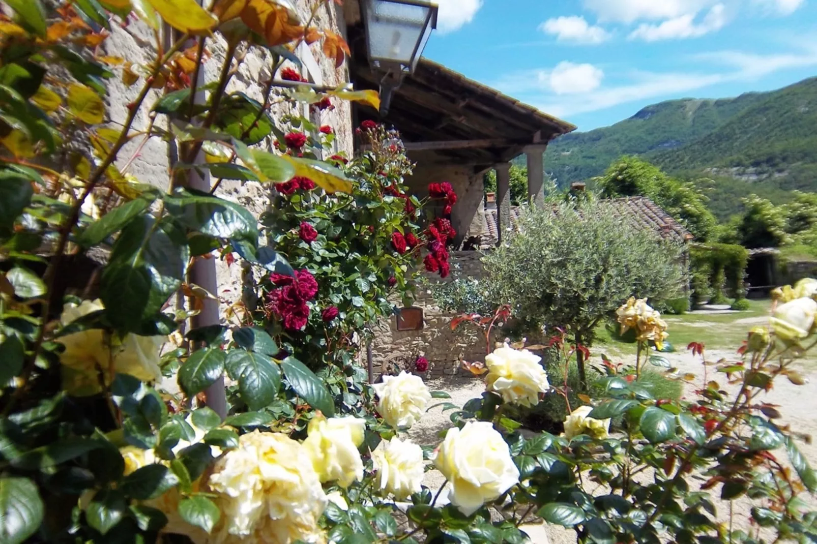 San Godenzo Casa Grande 2-Atmosphere