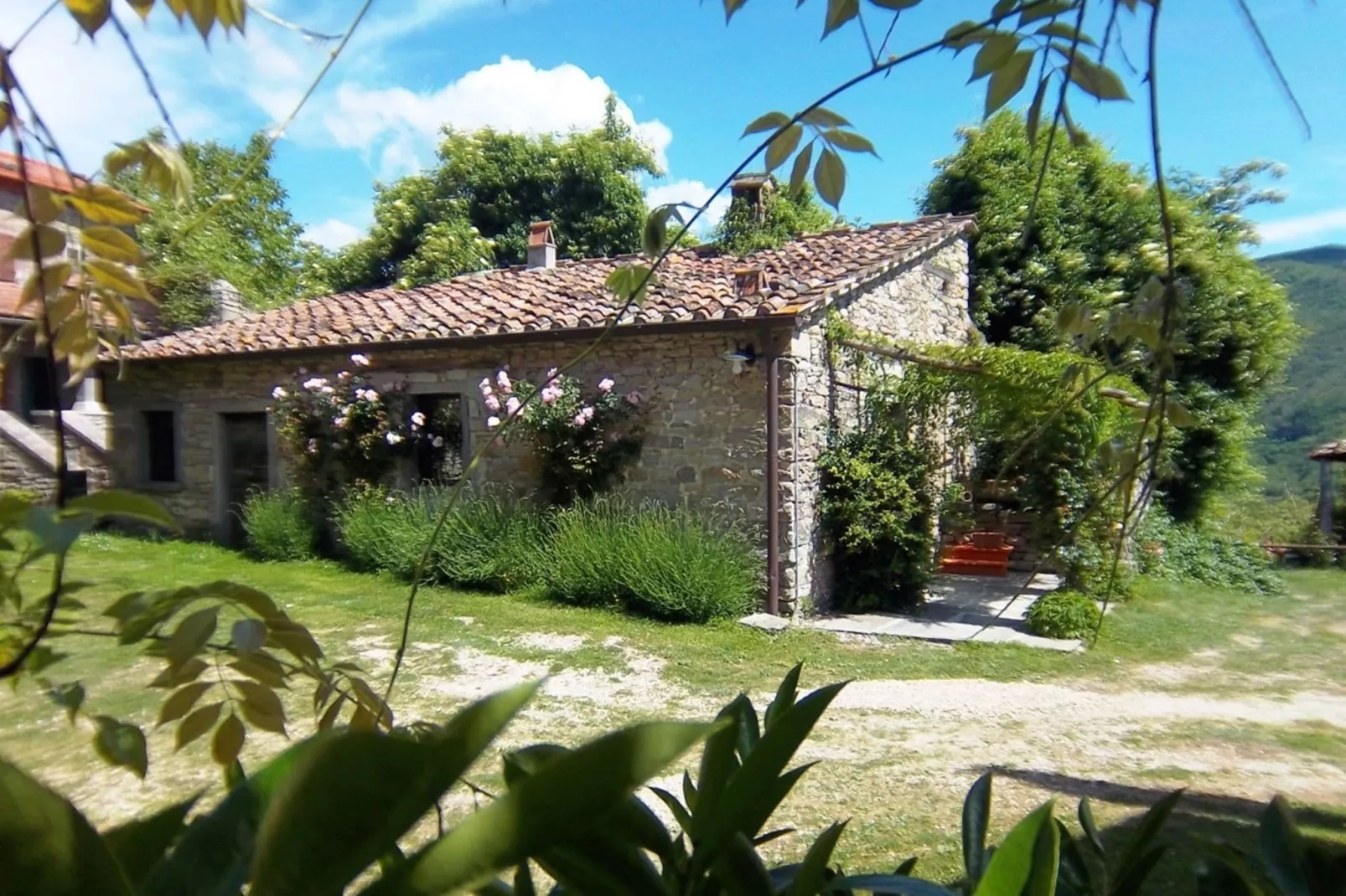 San Godenzo Casa Grande 2-Exterior summer