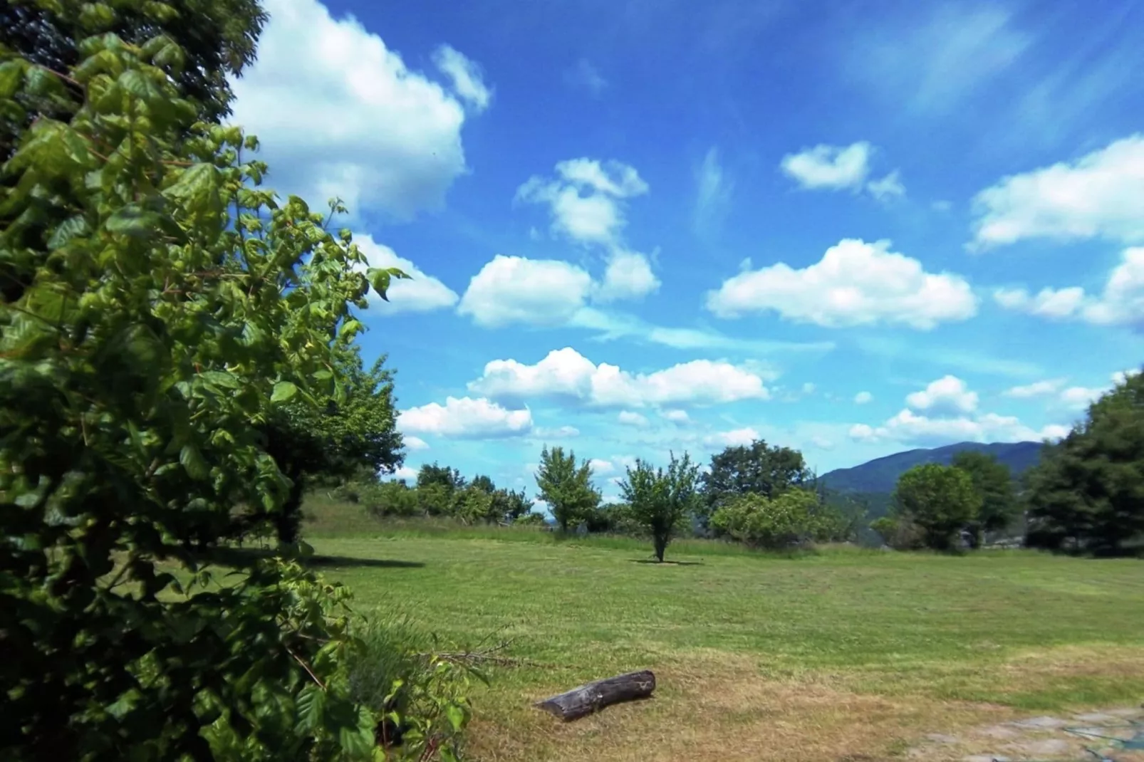 San Godenzo Casa Grande 2-View summer