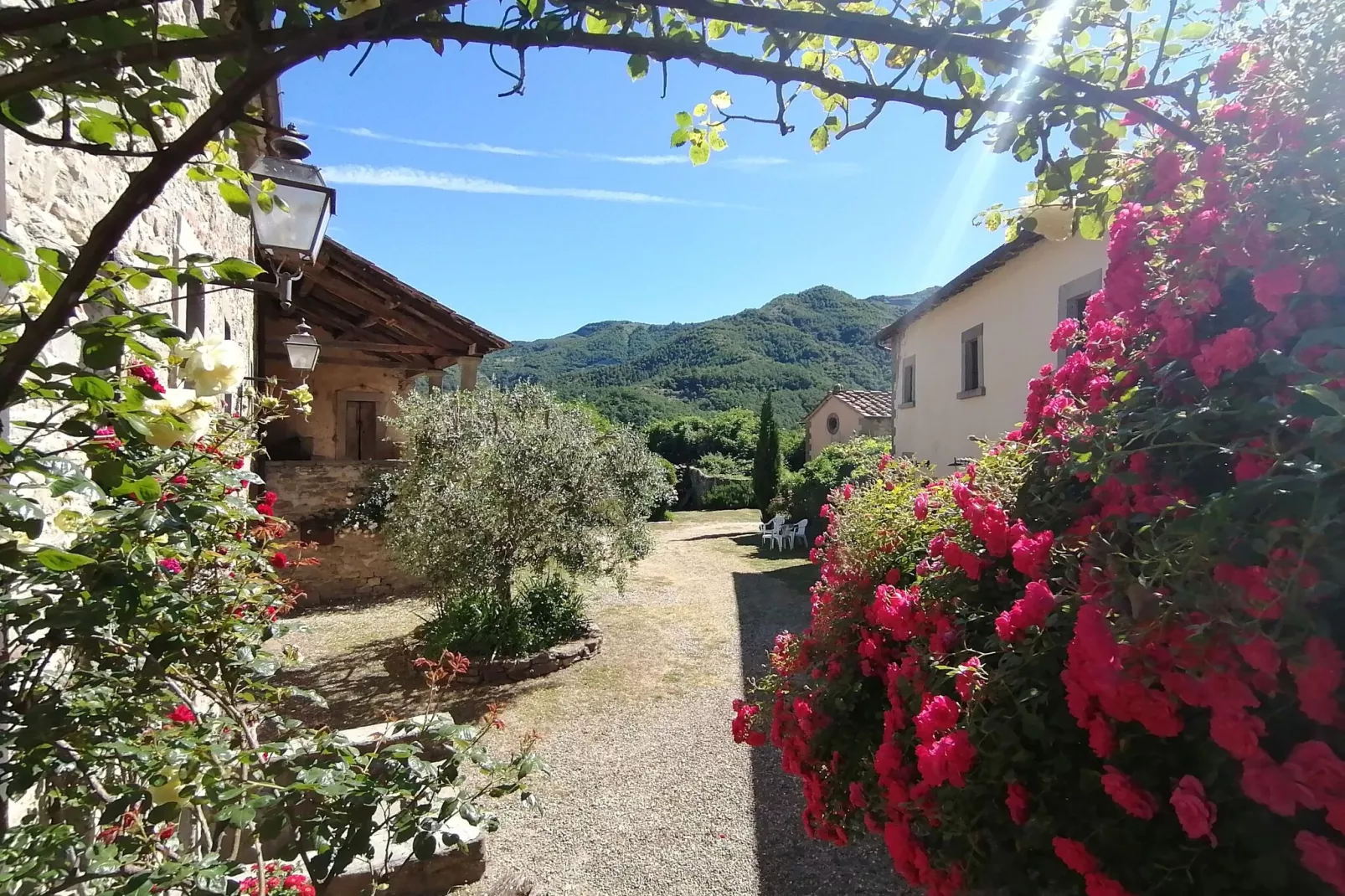 San Godenzo Casa Grande 2-Exterior summer
