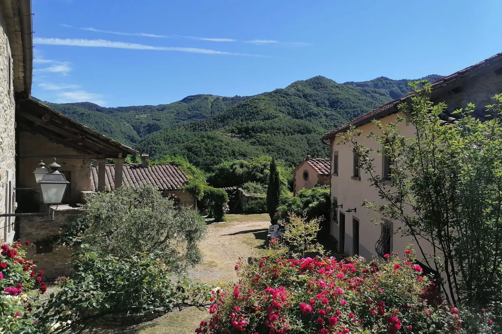 San Godenzo Casa Grande 2-Exterior summer