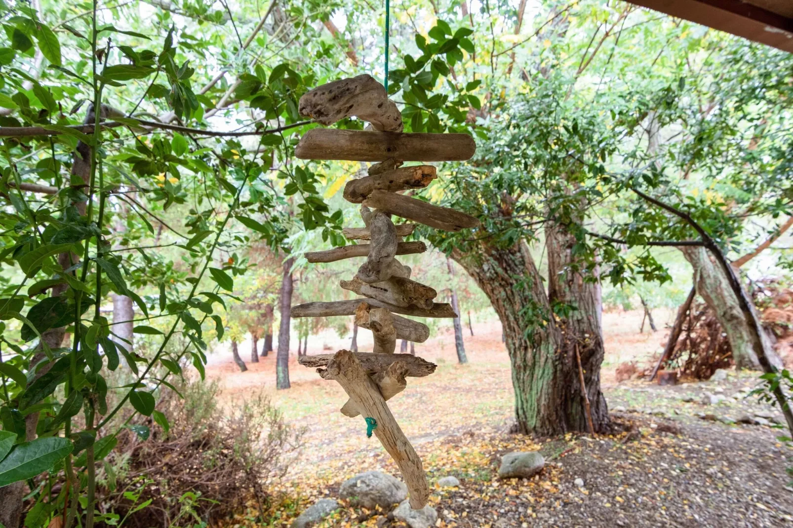 Villetta Arocha-Gardens summer