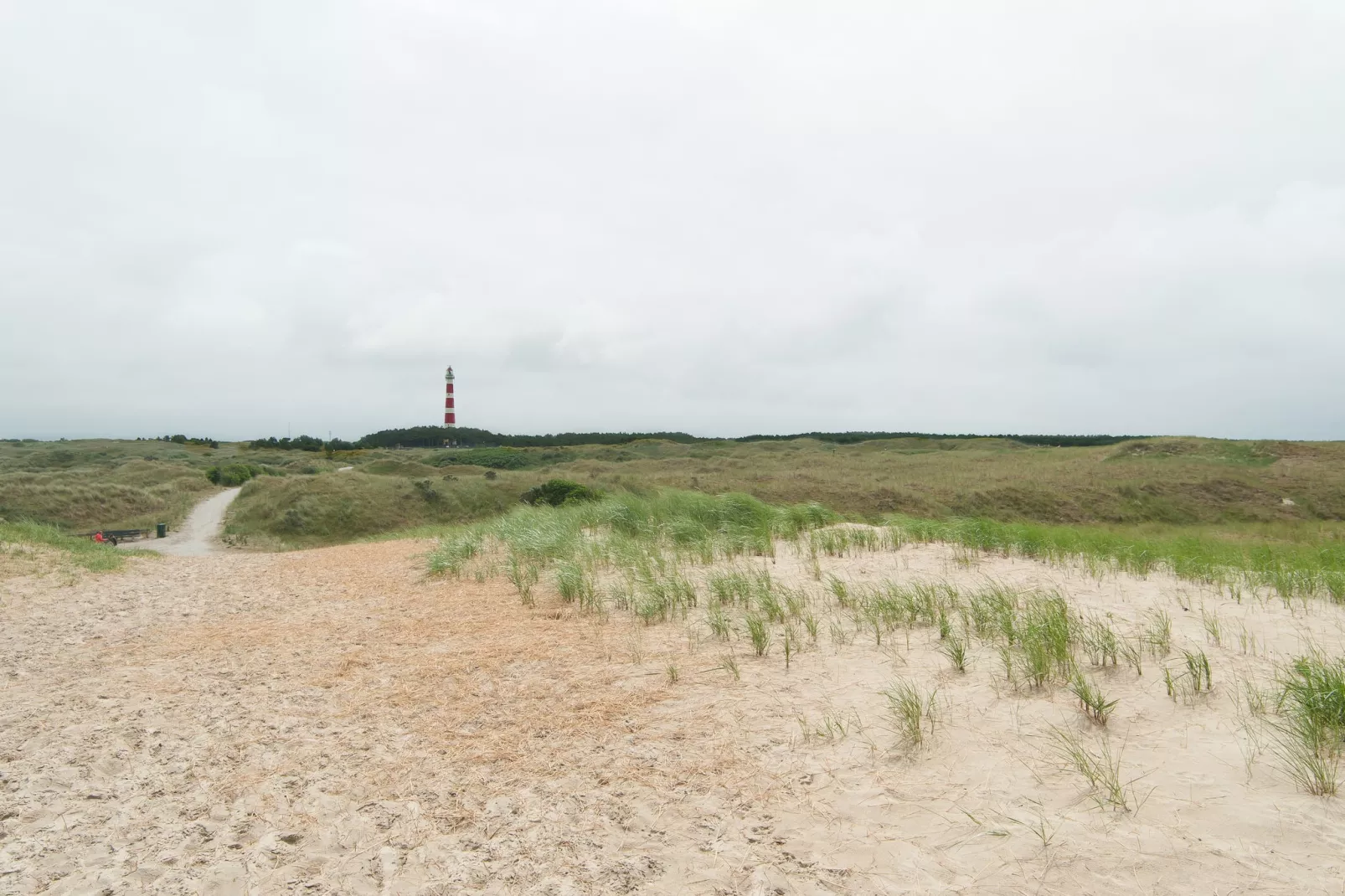 Sea Lodges Ameland 3-Areas summer 1km