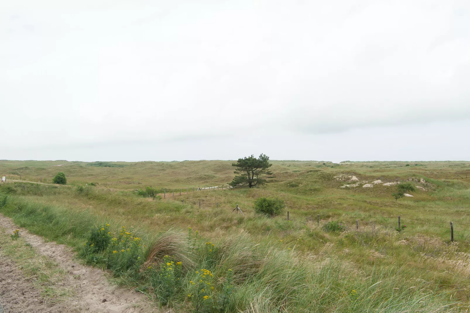 Sea Lodges Ameland 3-Areas summer 1km
