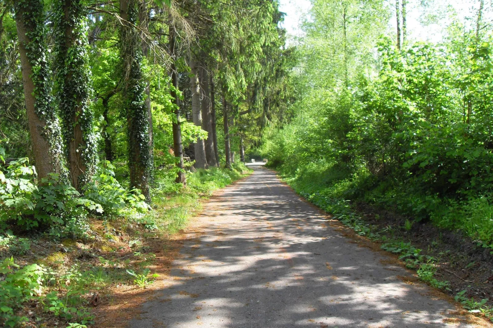Les Cherbins-Gebiete Sommer 20 km