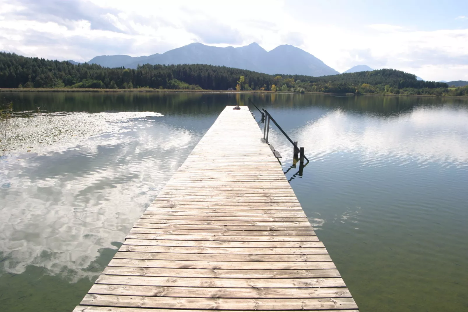 Apartment Elfi-Areas summer 5km