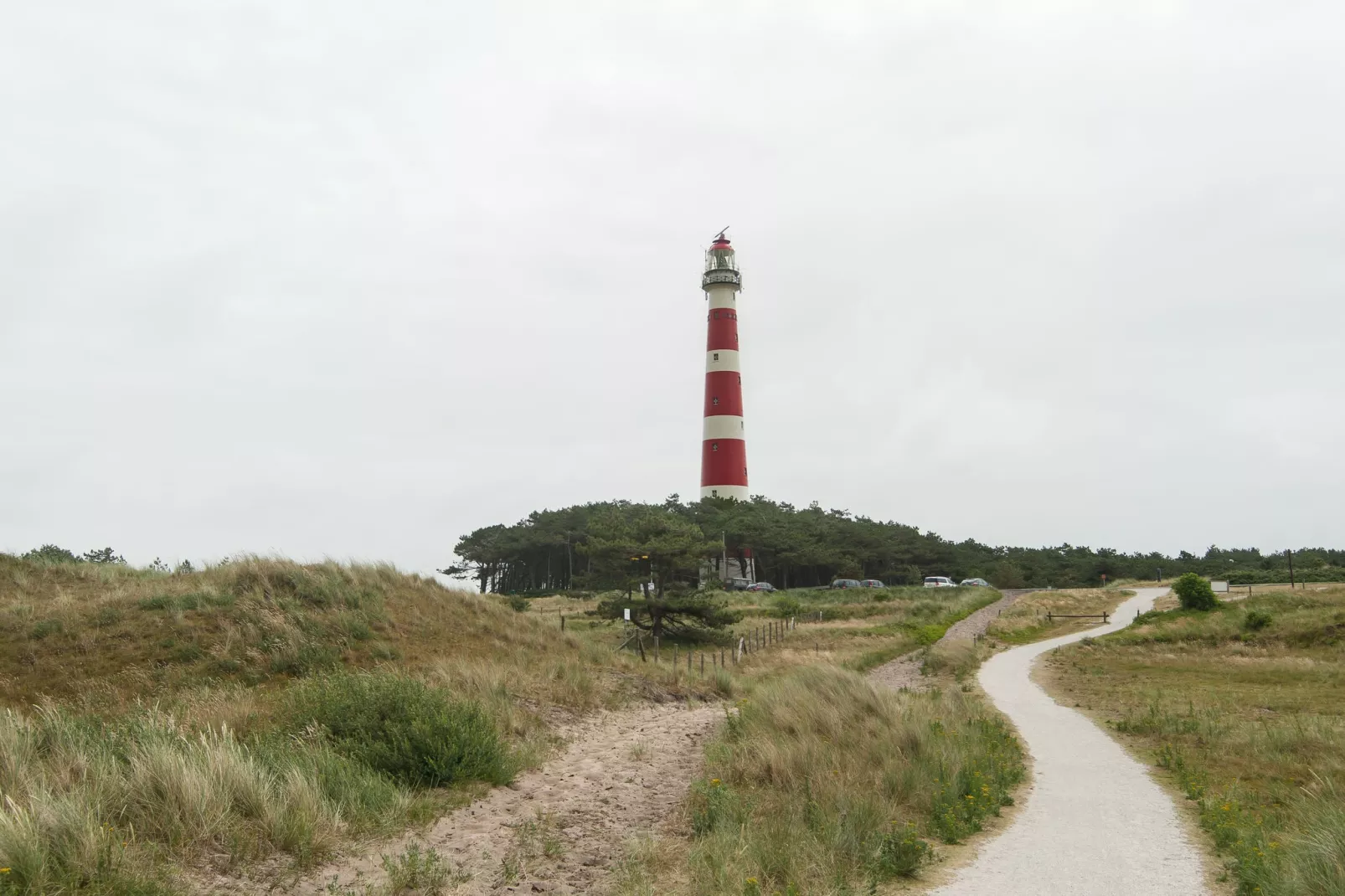 Sea Lodges Ameland 4-Areas summer 1km