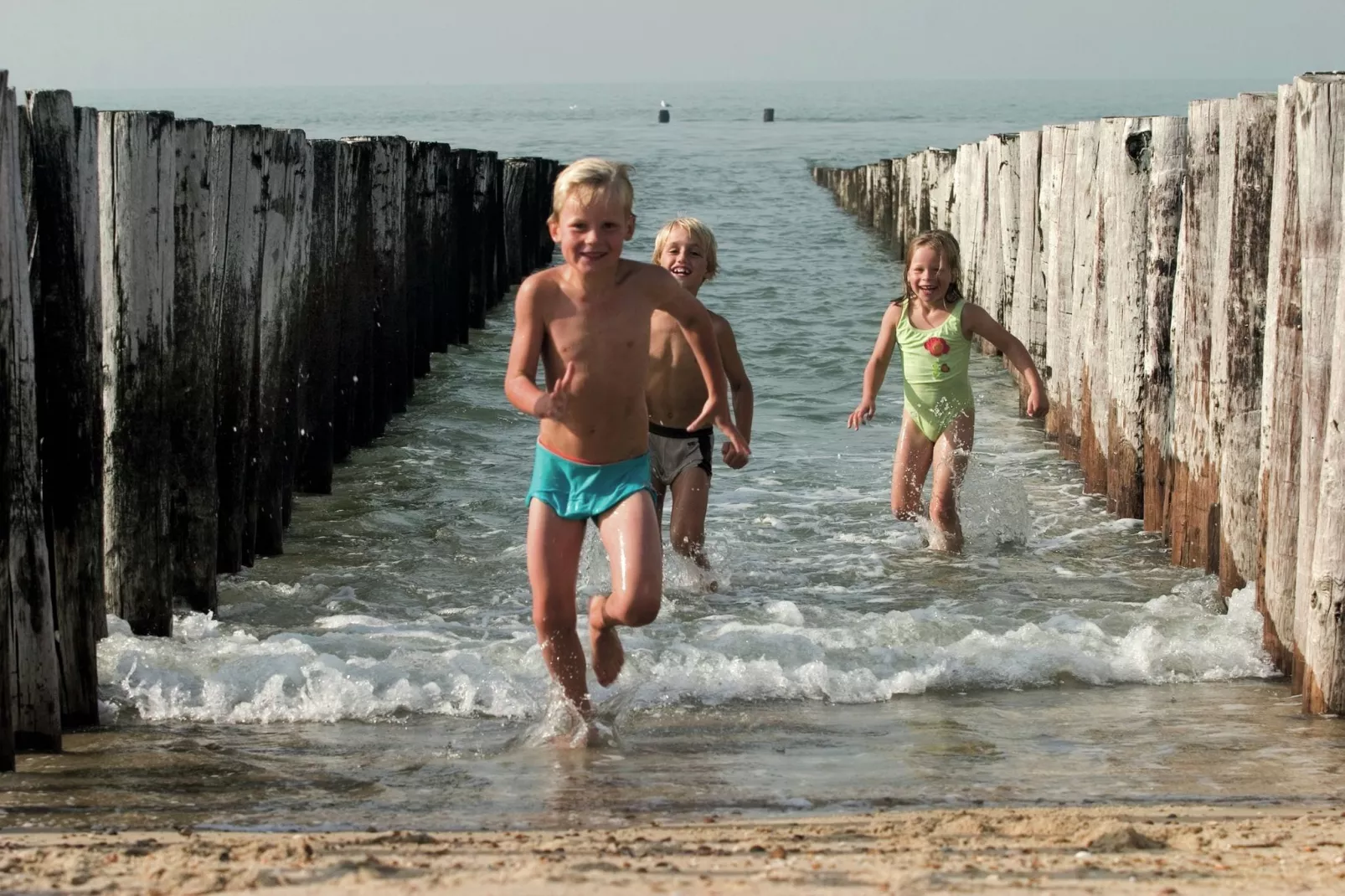Vakantiepark Hof Domburg 19-Areas summer 5km