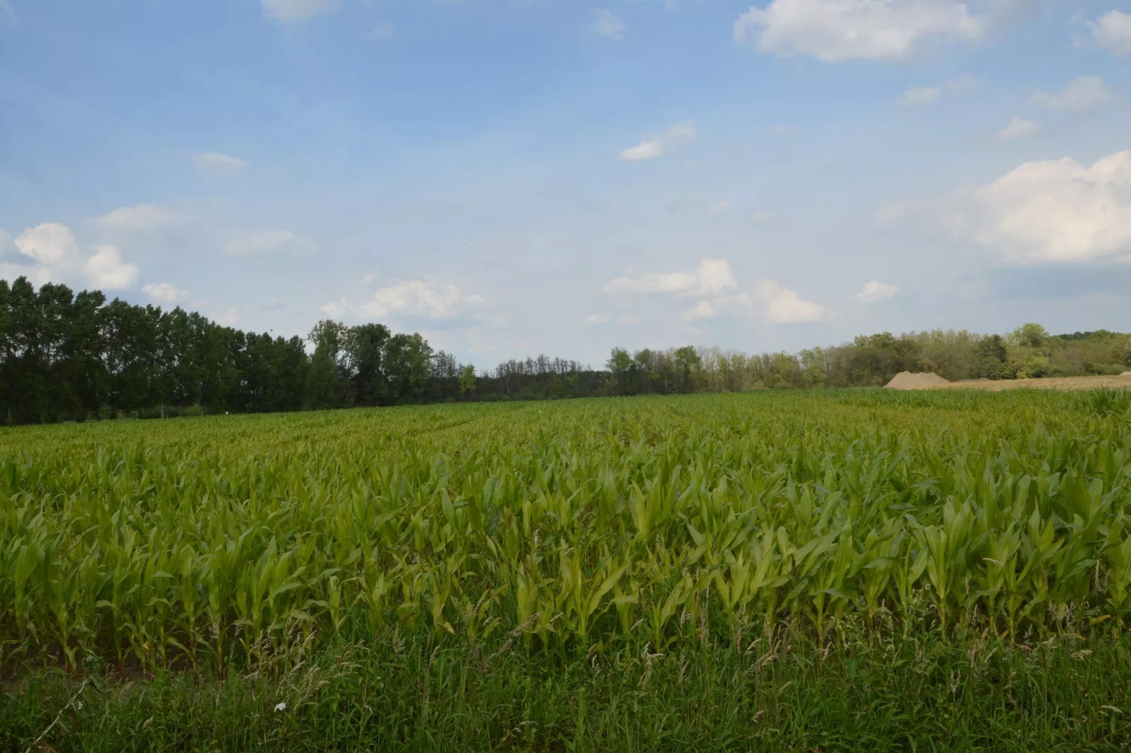 Kasteelboerderij Gunhof-Areas within 1km in summer