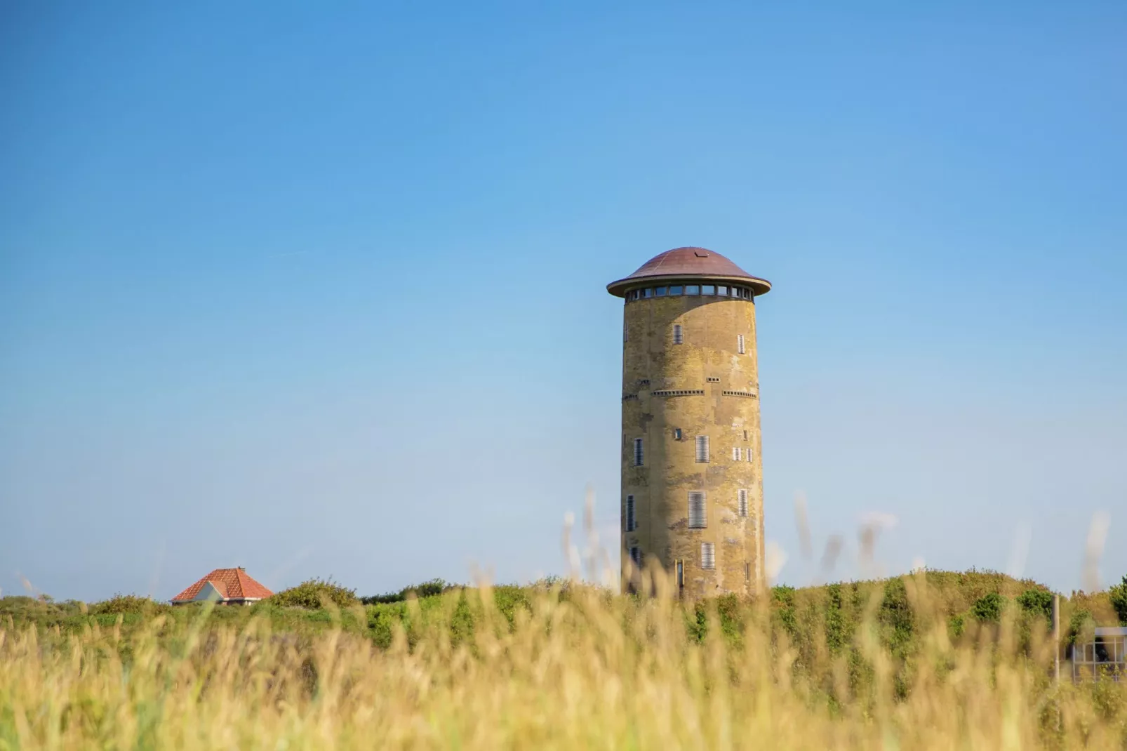 Vakantiepark Hof Domburg 19-Areas summer 5km