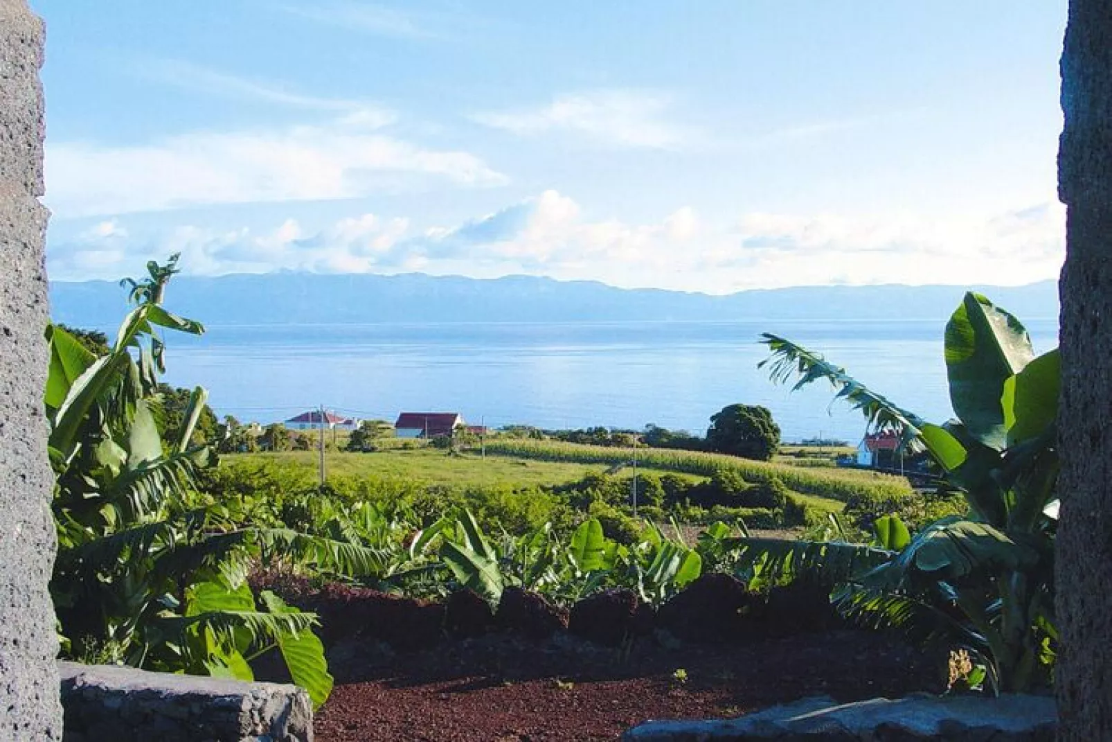 Ferienhäuser Adegas do Pico in Prainha // Adega T2 / 70-90m2 / vineyard or countryside-Water view