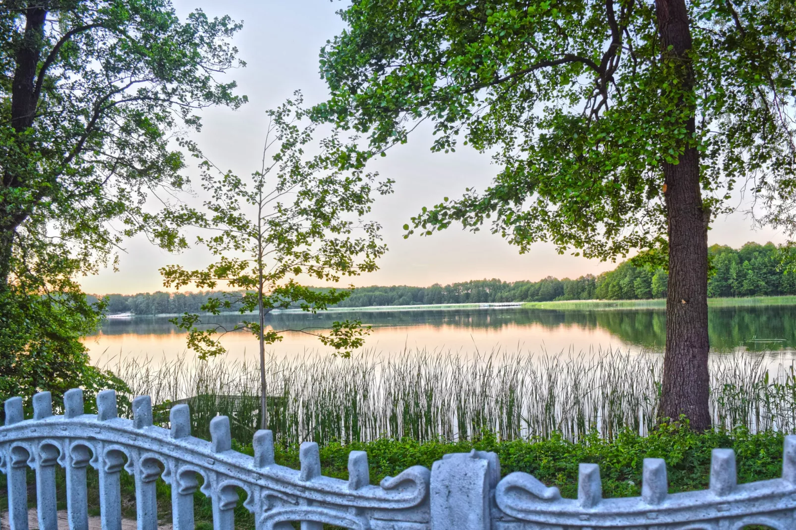 A house on the shore of the lake-View summer