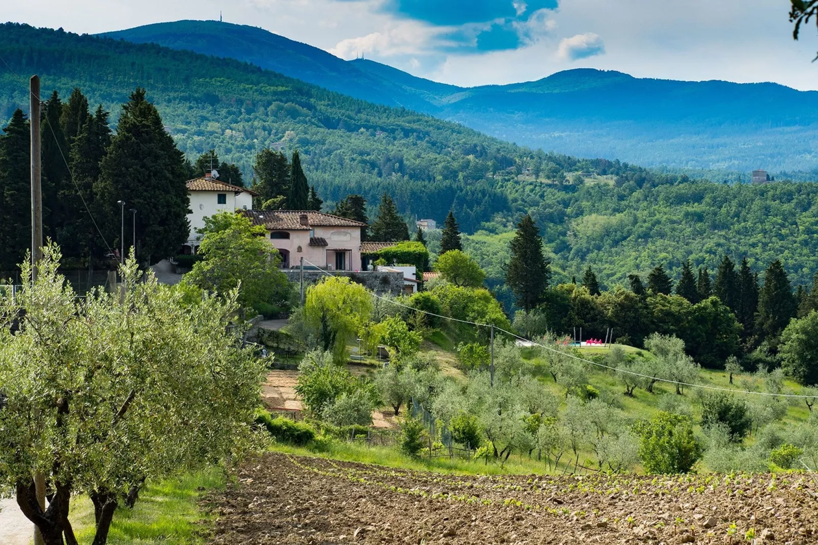 Cipresso-Areas within 20km in summer