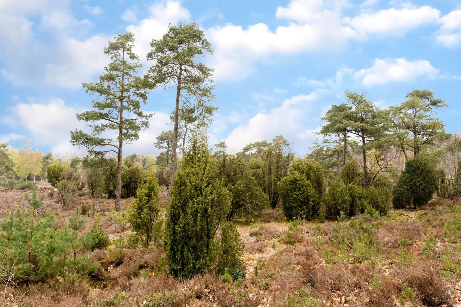 Vakantiehuis nr 20-Areas summer 20km