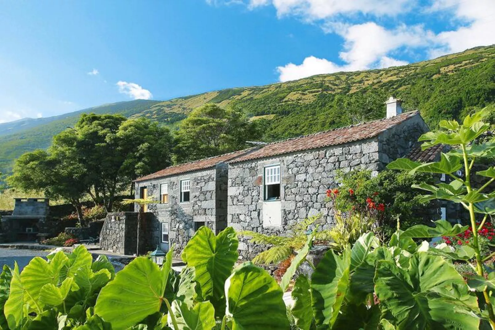 Ferienhäuser Adegas do Pico in Prainha // Adega T3 / 90-120m2-Exterior summer