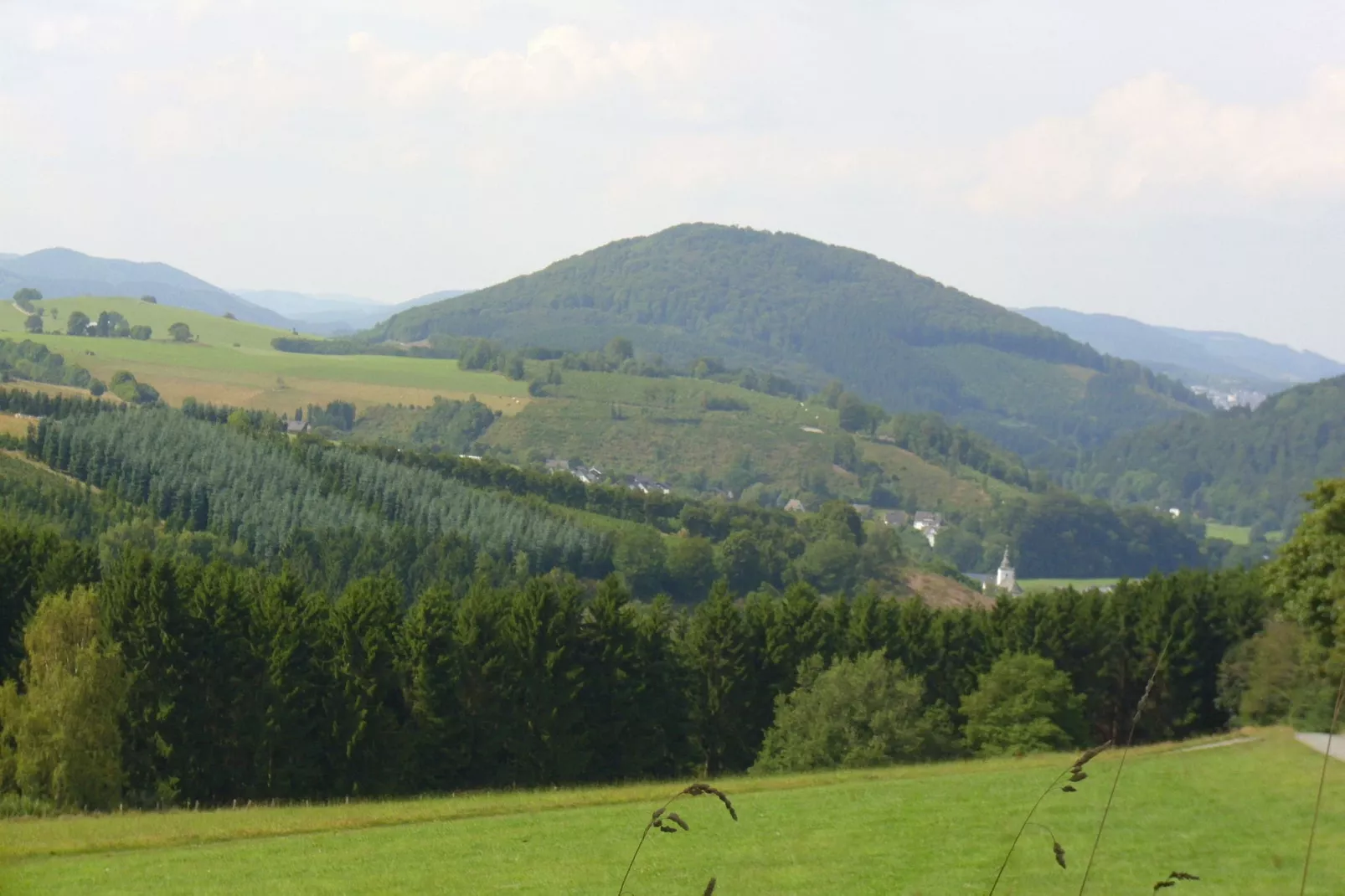 Elisabeth Tigges-Areas summer 5km