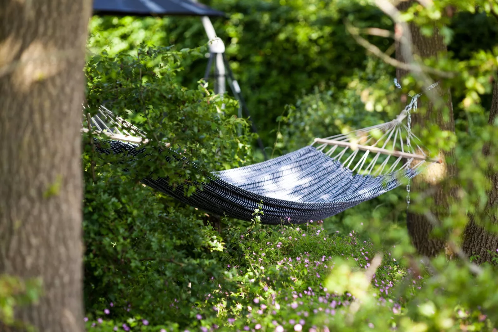 Vakantiehuis nr 20-Gardens summer