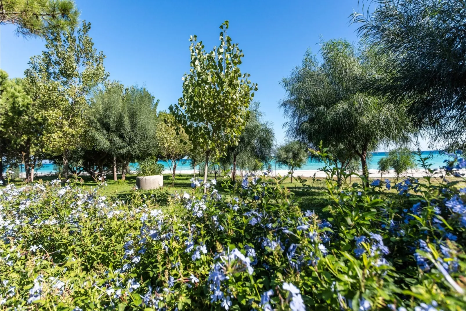 Garden-Gardens summer