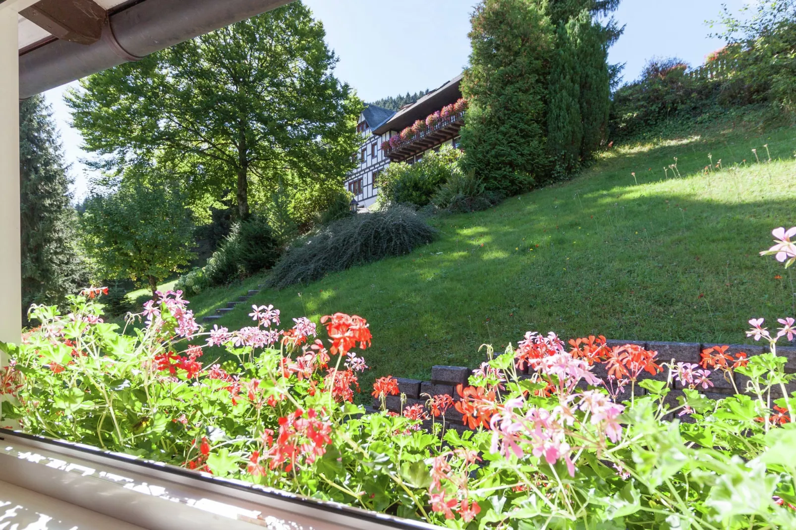 Oberkirchen-View summer
