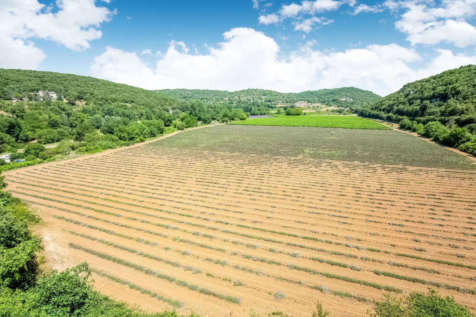La Bise-View summer