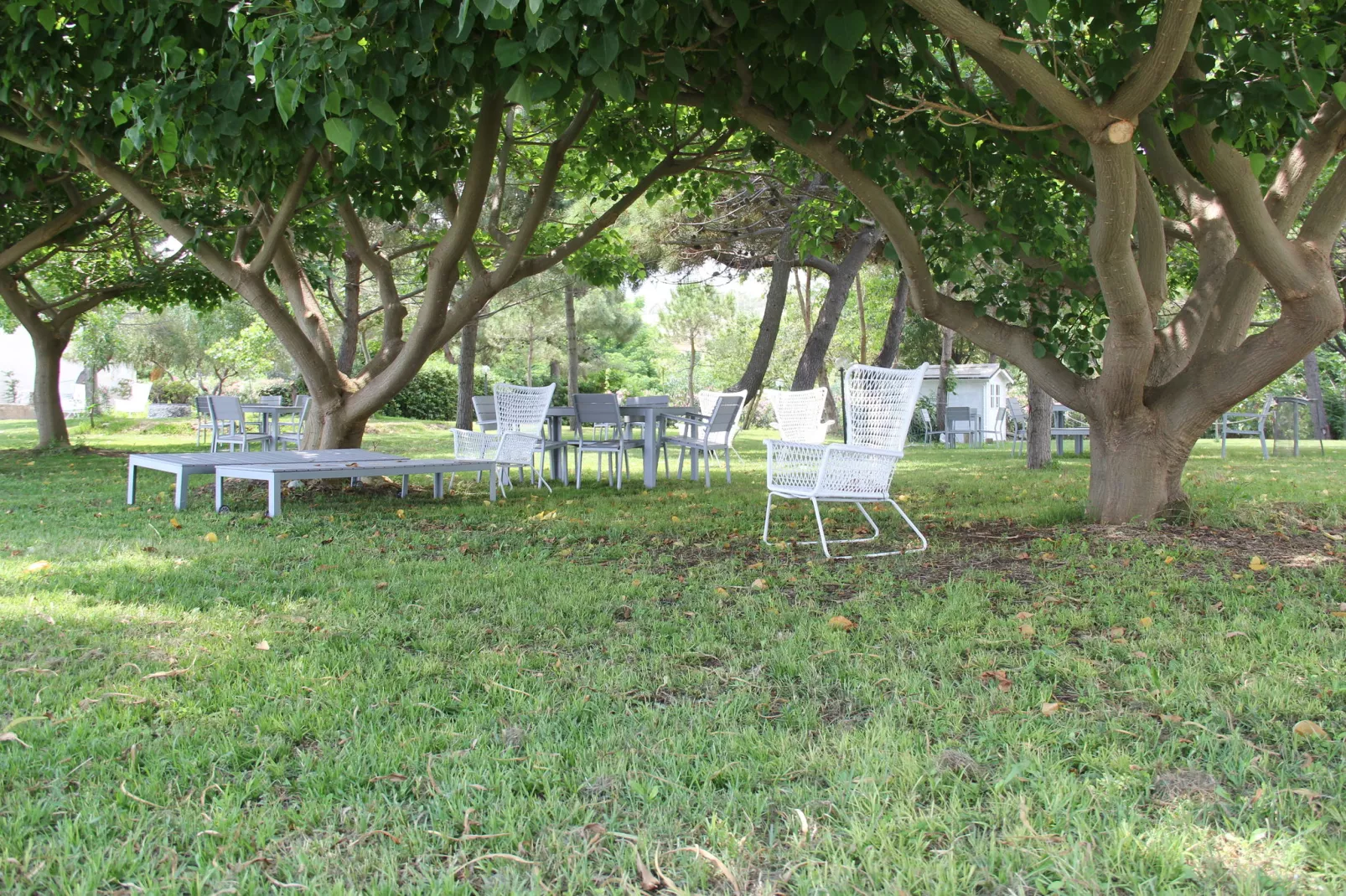 Mezzanine-Gardens summer