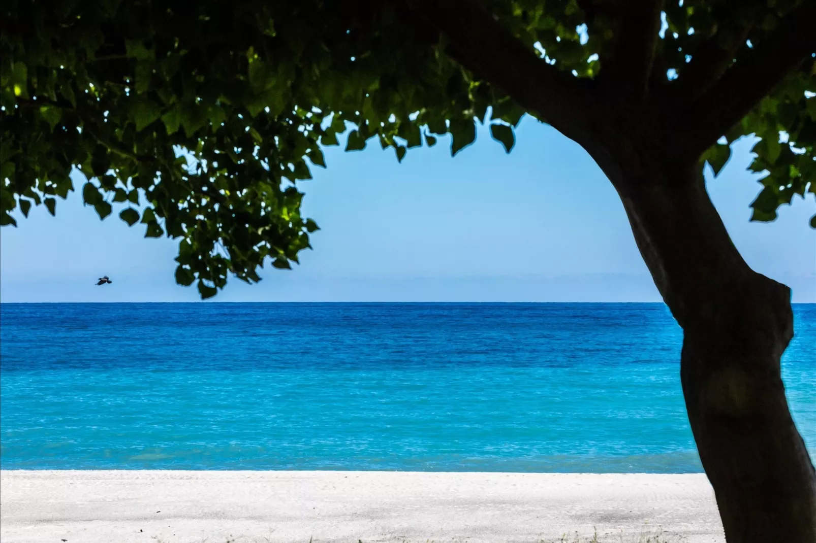 Villa Romance-View summer