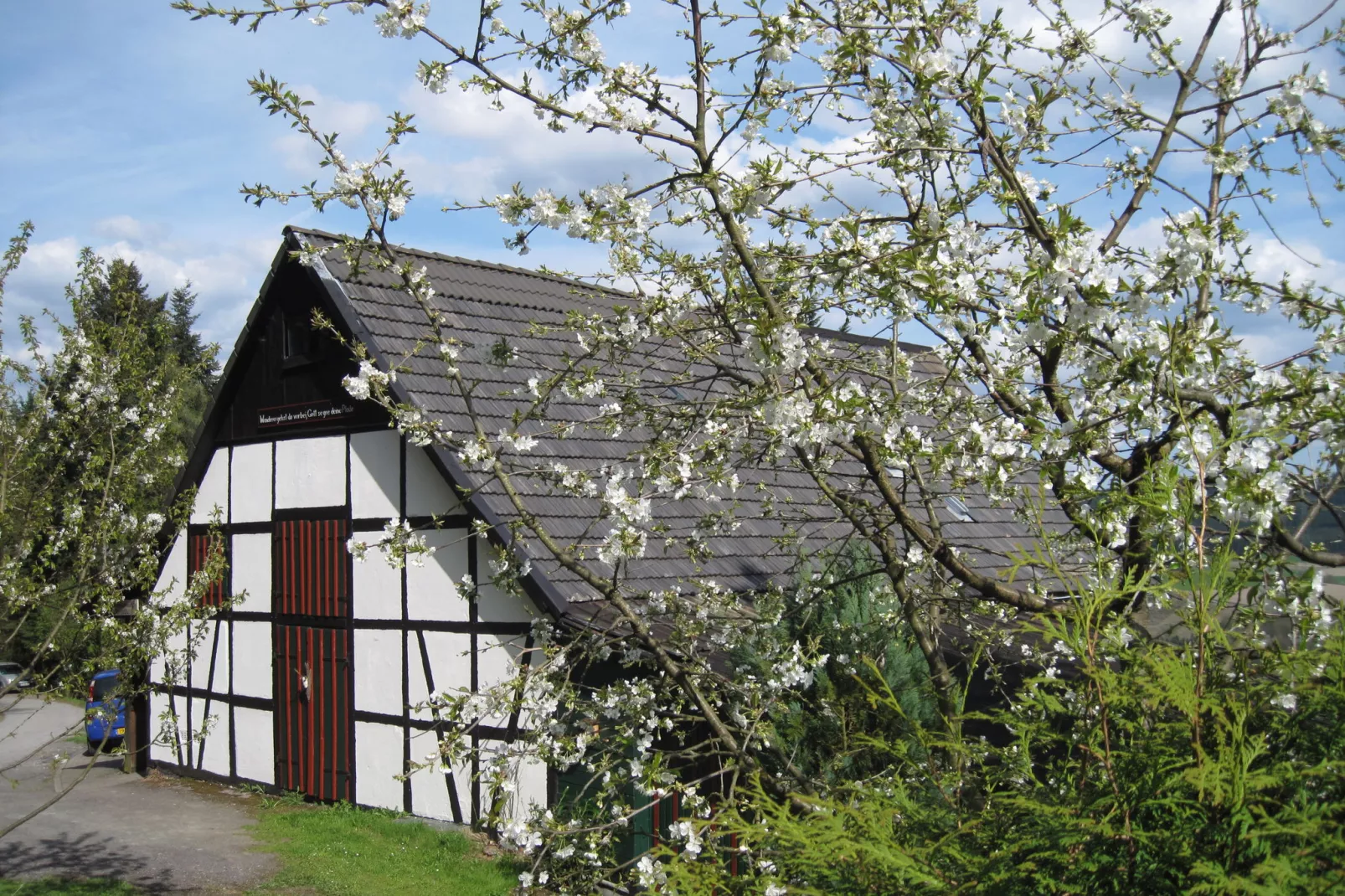 Hardebusch