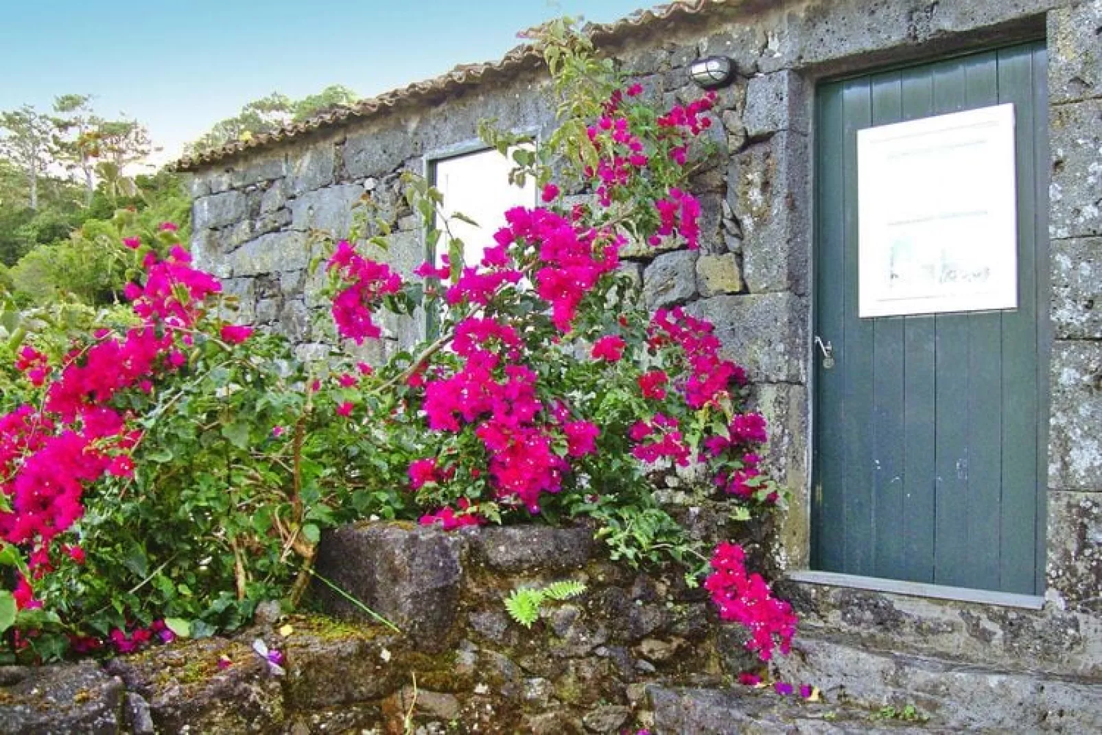 Holiday home, Praínha de Baixo-Casa da Mó-Außenbereich Sommer