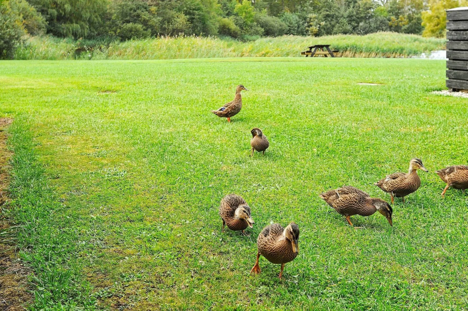 Lakeview Retreat in Dagelokke - By Traum Ferienwohnungen