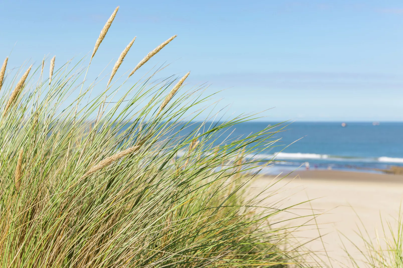 Vakantiepark Boomhiemke 14-Gebiete Sommer 5 km