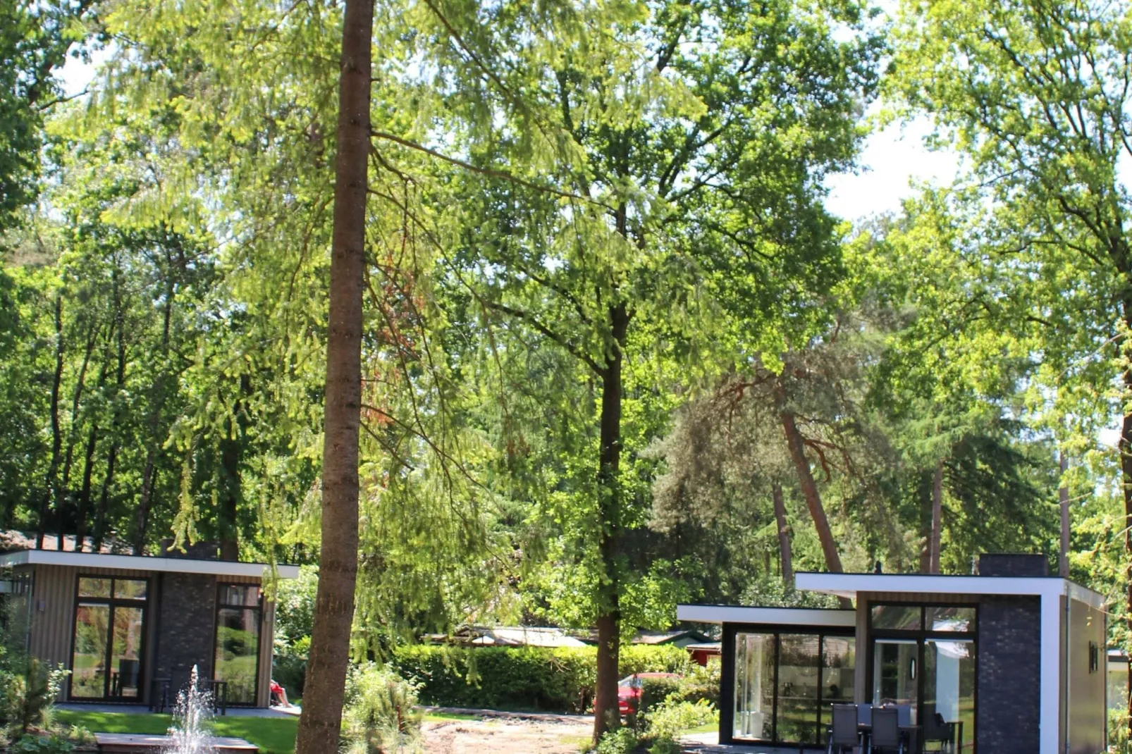 Vakantiepark De Rimboe & De Woeste Hoogte 22-Areas summer 1km
