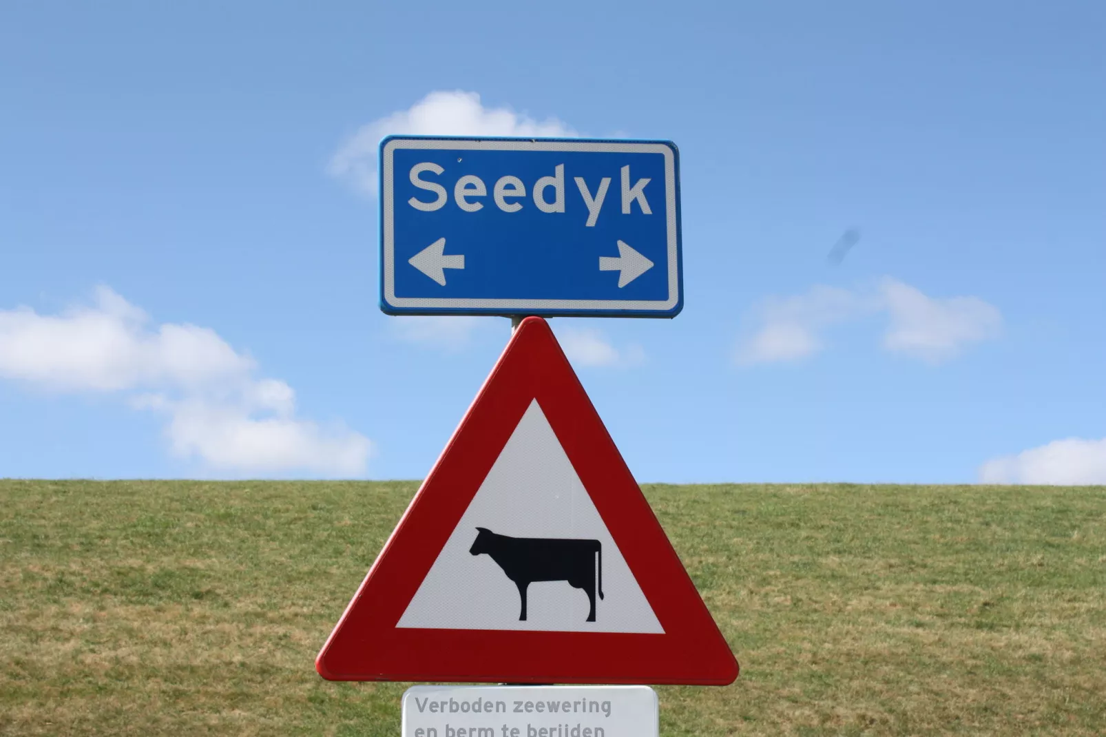 Zeedijk II-Areas summer 1km
