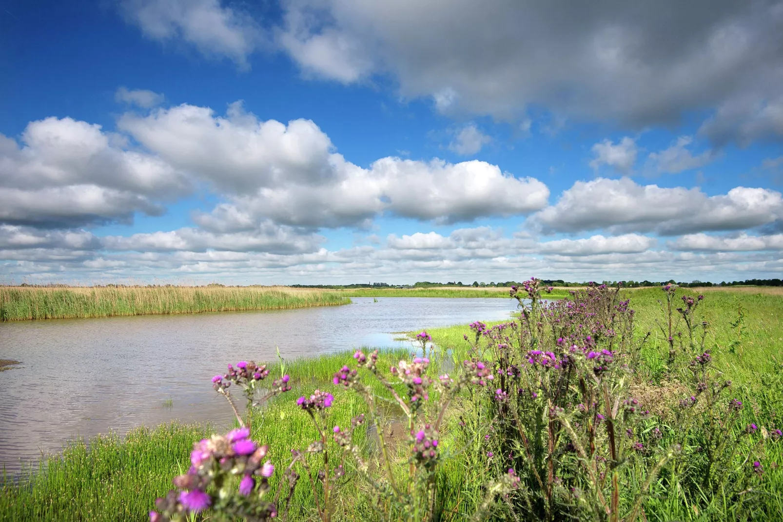 Zeedijk II-Areas summer 5km
