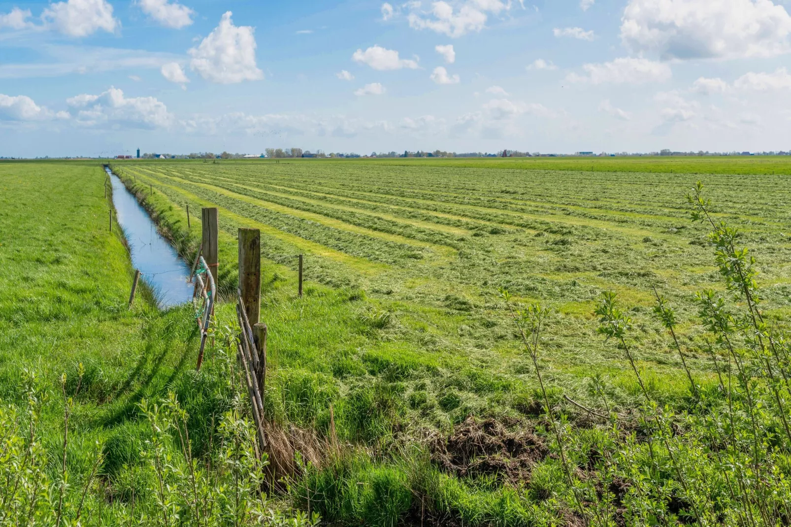 Knus chalet in Friesland met hottub-Gebiete Sommer 5 km