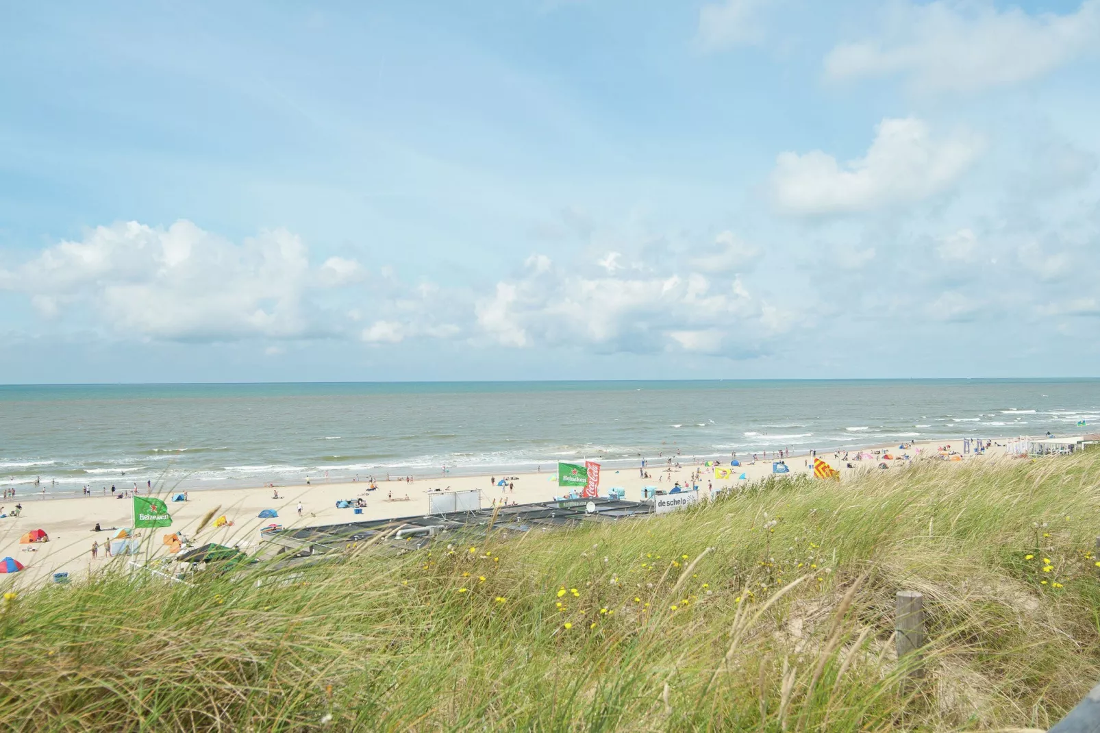 Naast het Bollenveld-Areas summer 20km