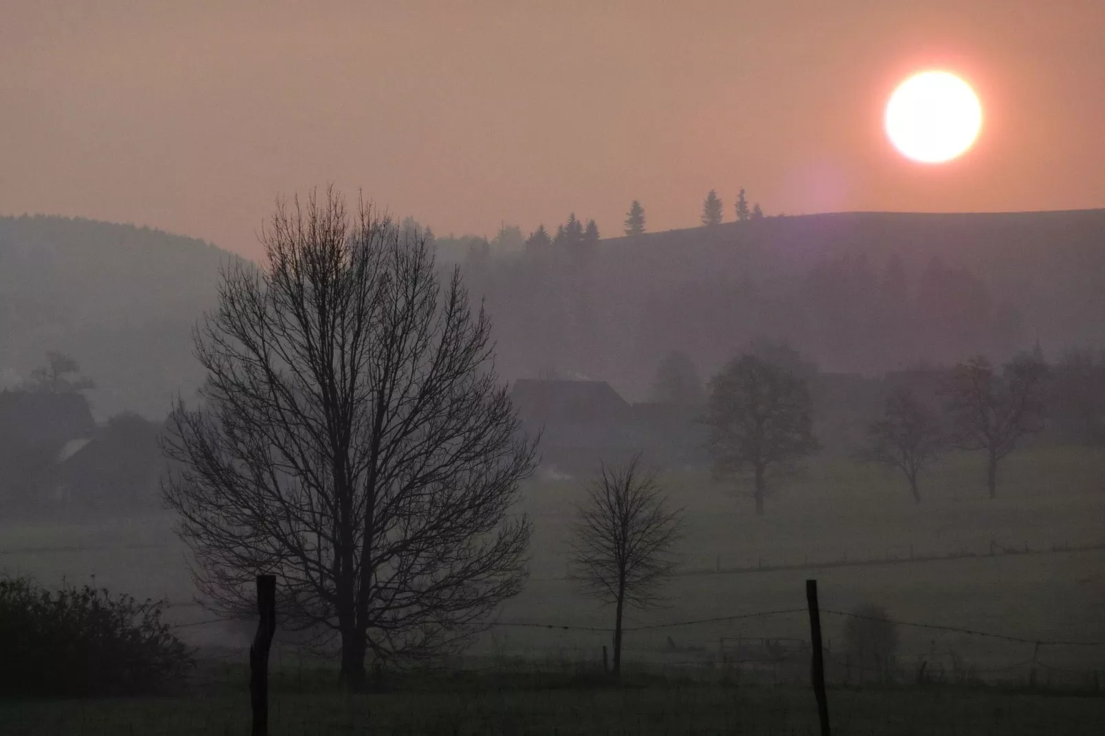 Hunau I-Areas summer 5km