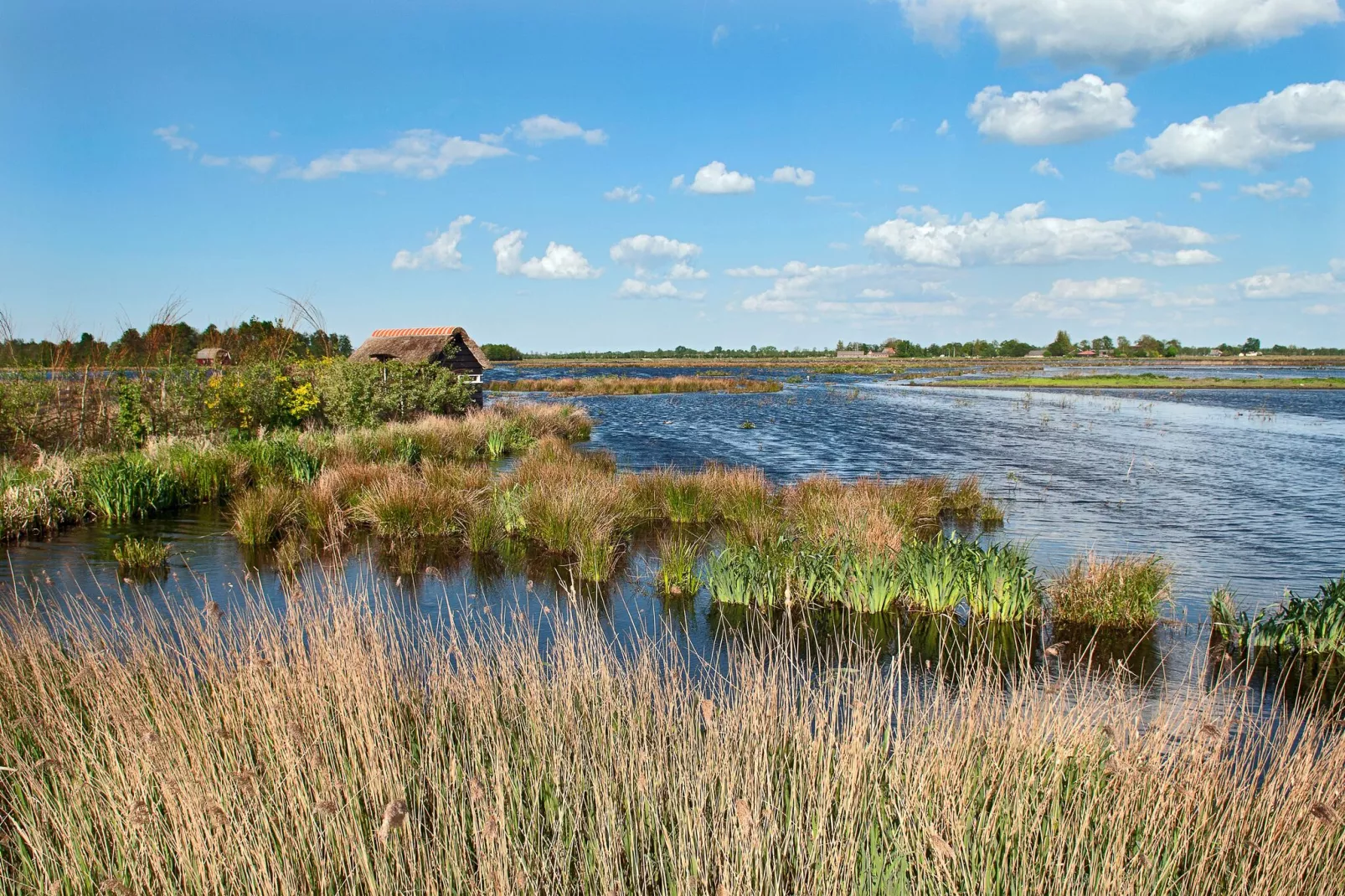 Knus chalet in Friesland met hottub-Gebiete Sommer 5 km