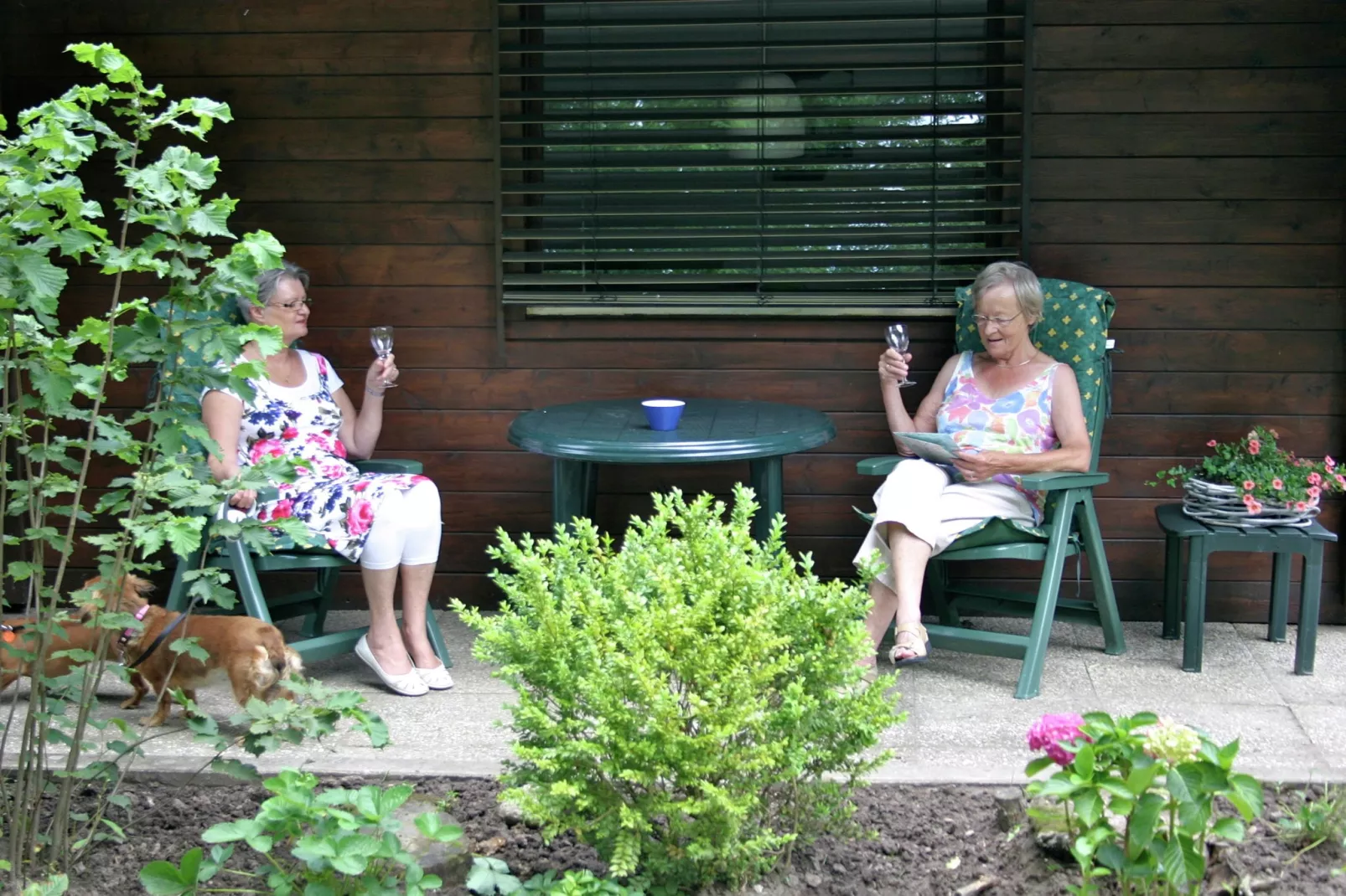 Chaletpark Kuiperberg 1-Terrace balcony