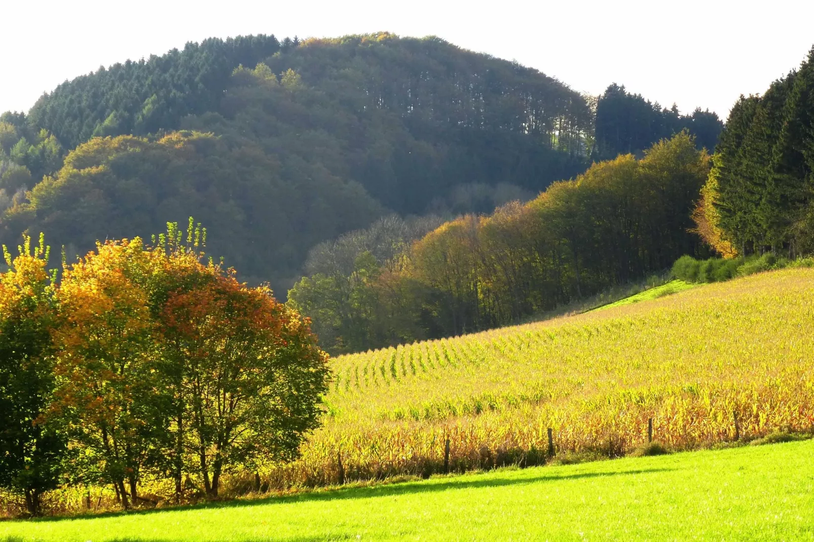 Hunau I-Areas summer 20km