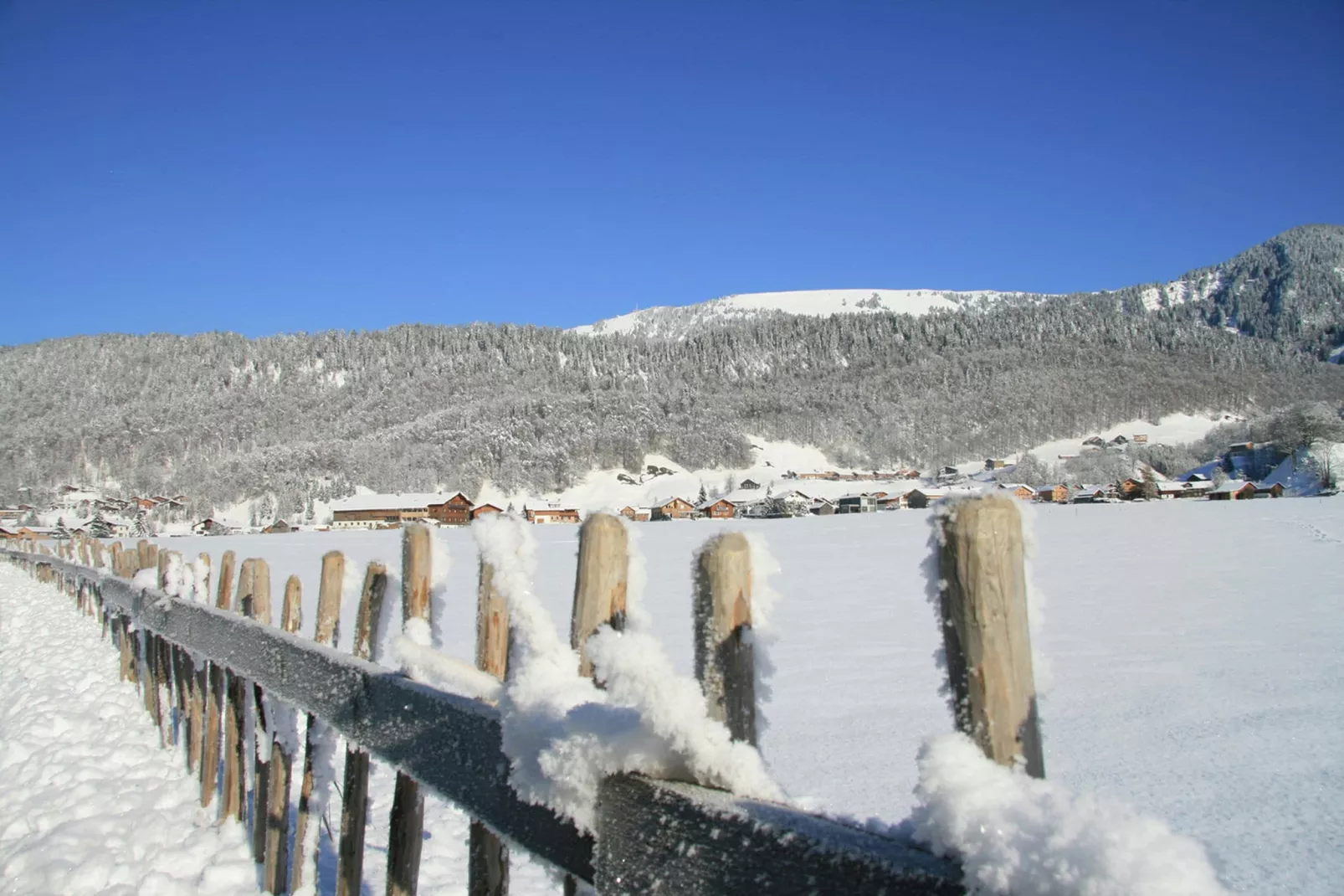 Chalet Steffko-Area winter 5km