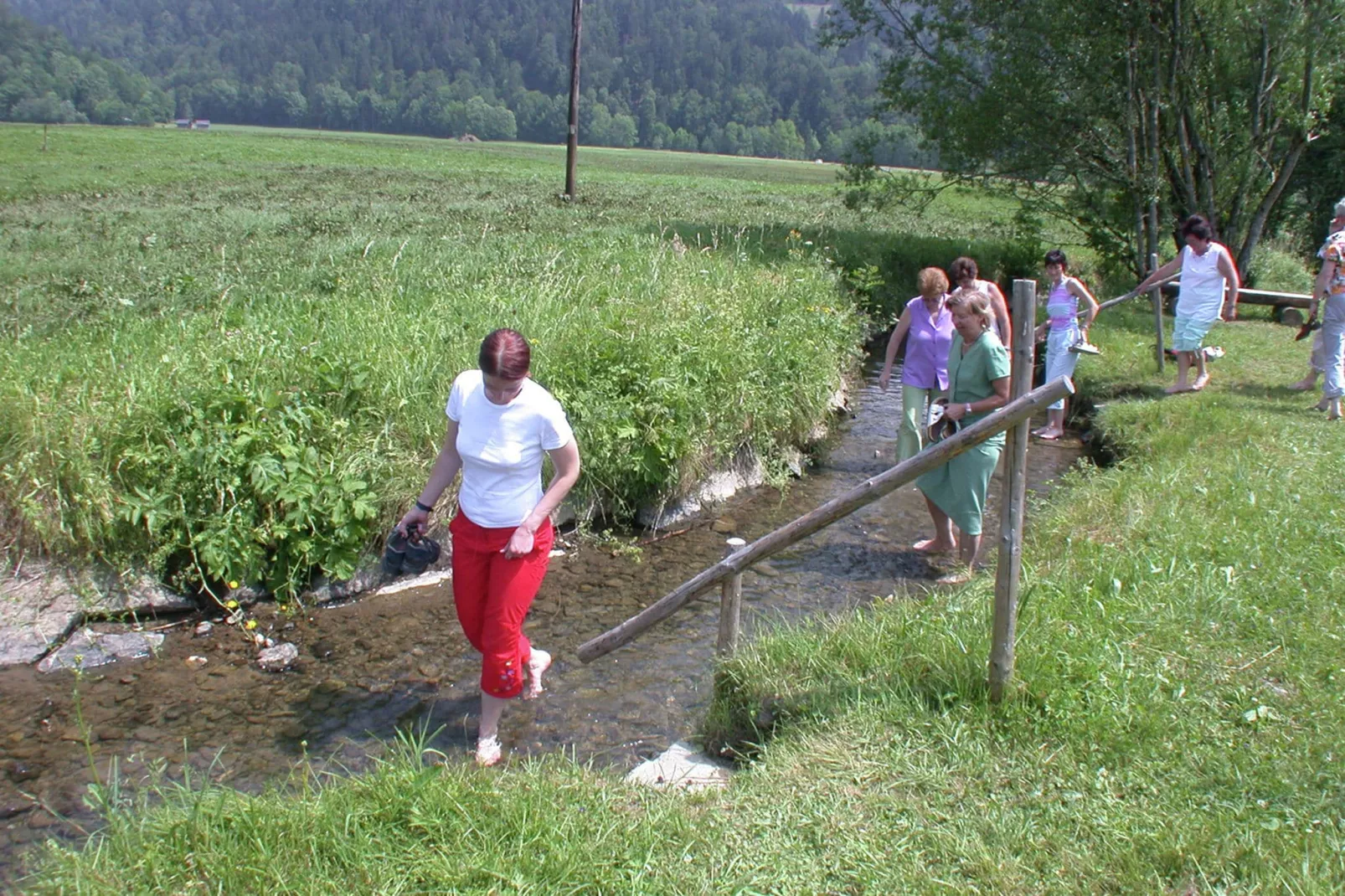 Chalet Steffko-Areas summer 20km