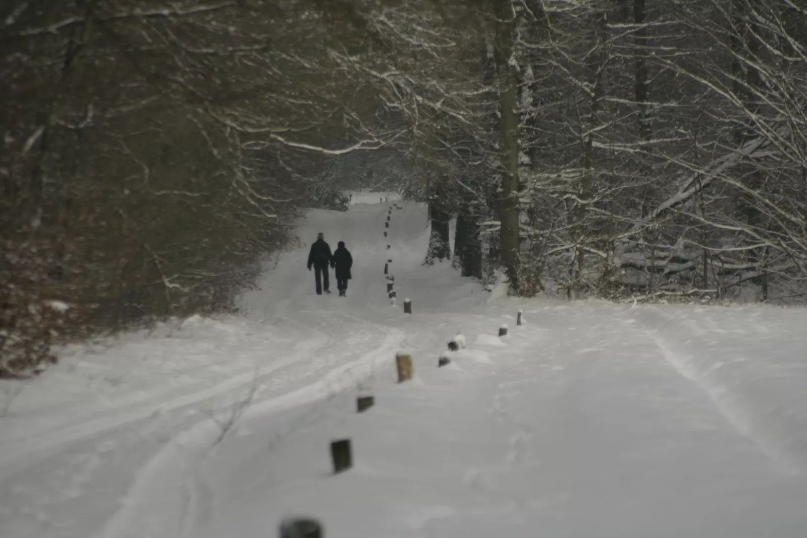 Chaletpark Kuiperberg 1-Area winter 5km