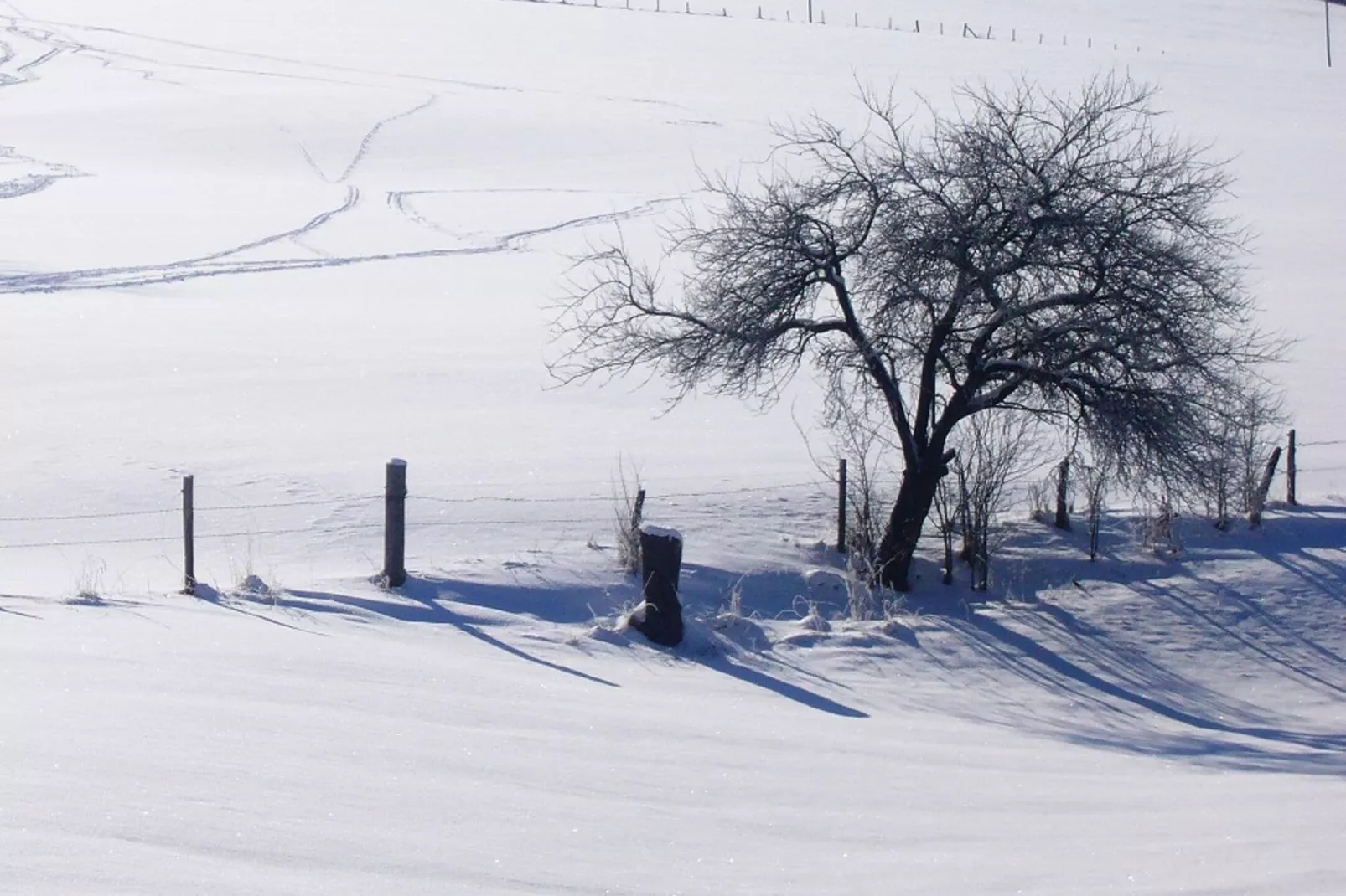 Hunau II-Area winter 1km