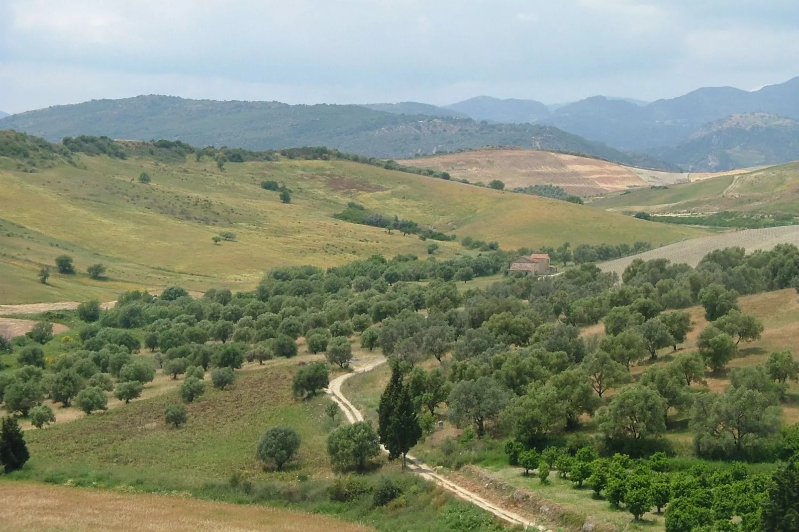 Casa Donna Vittoria-View summer