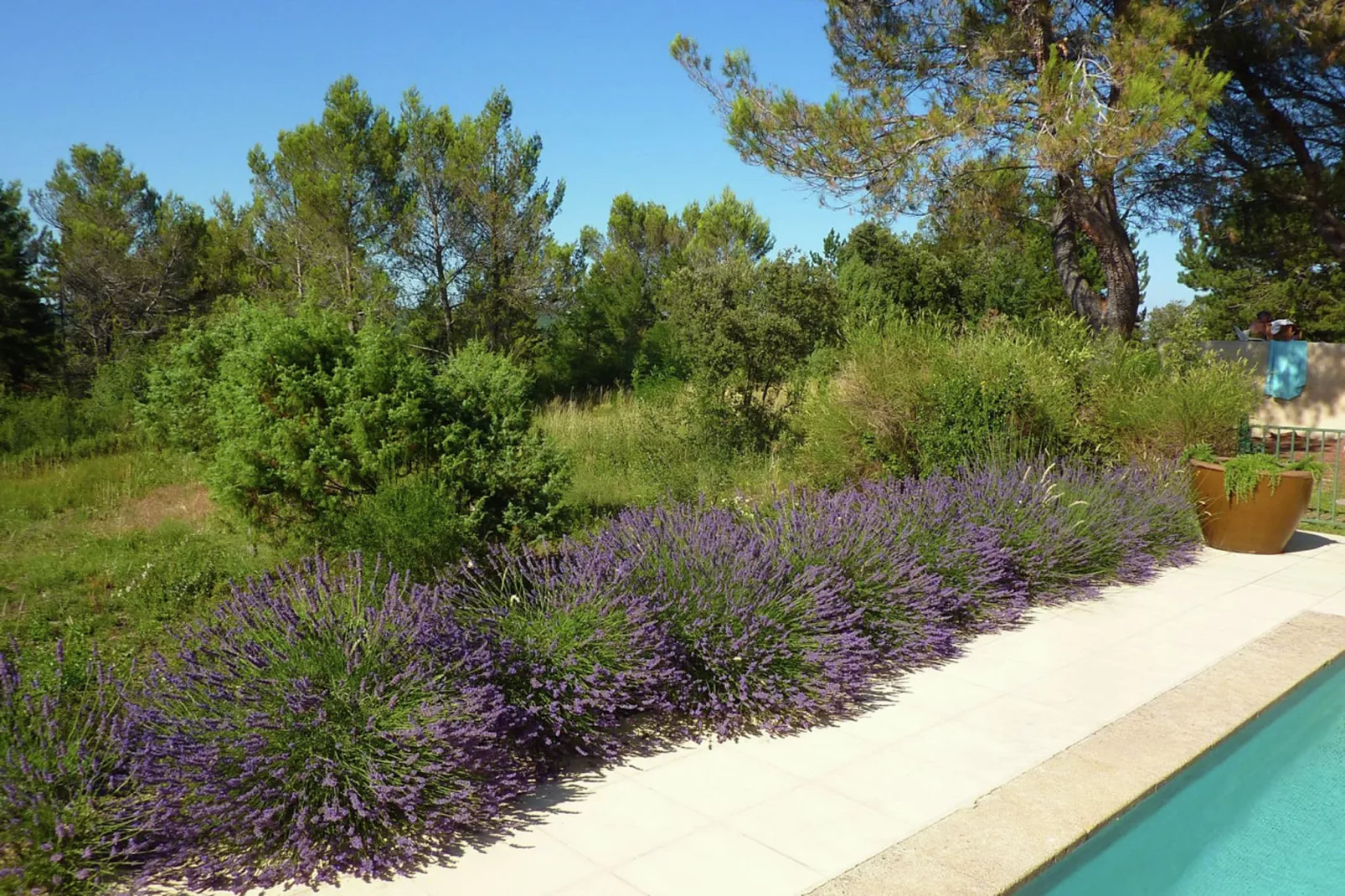 Grande Villa Vue Panoramique-Gardens summer